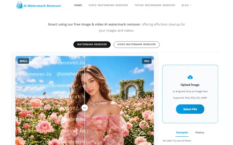 Screenshot of aiwatermarkremover.io, further down the homepage