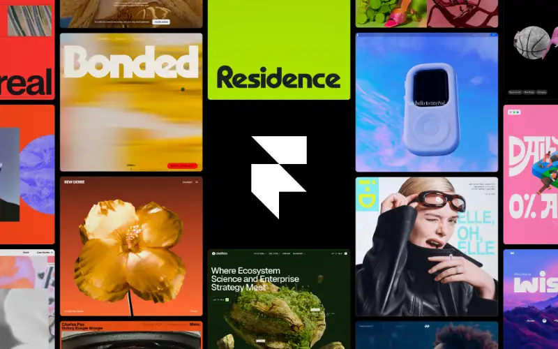Share picture from framer.com
