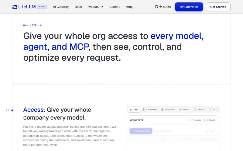 Screenshot of litellm.ai, further down the homepage