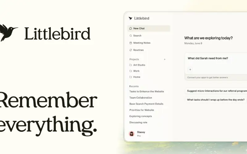Share picture from littlebird.ai