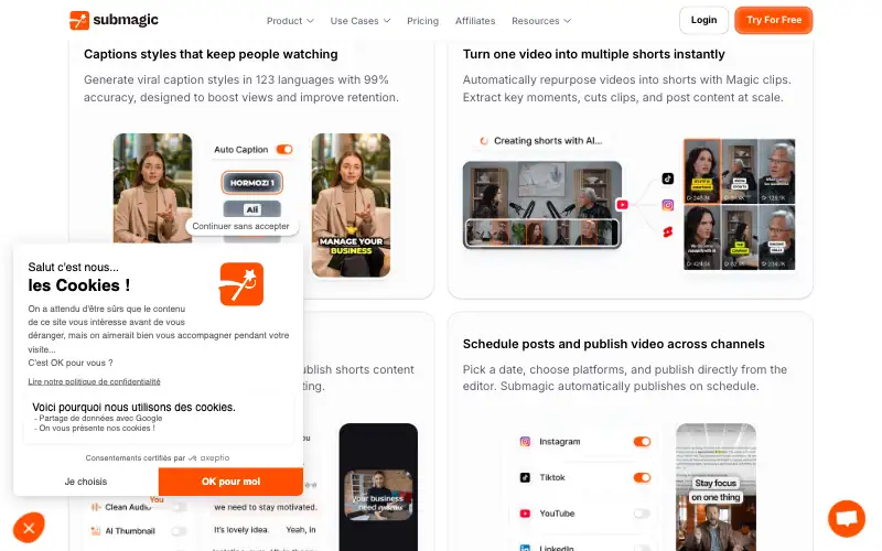 Screenshot of submagic.co, further down the homepage