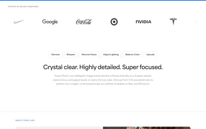 Screenshot of topazlabs.com, further down the homepage